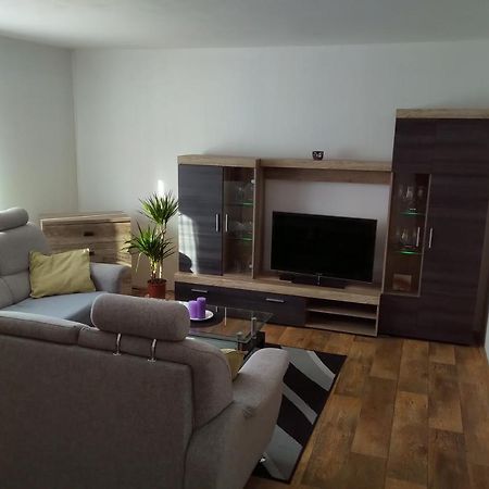 Apartman Pod Rickami Appartement Rokytnice v Orlických Horách Buitenkant foto