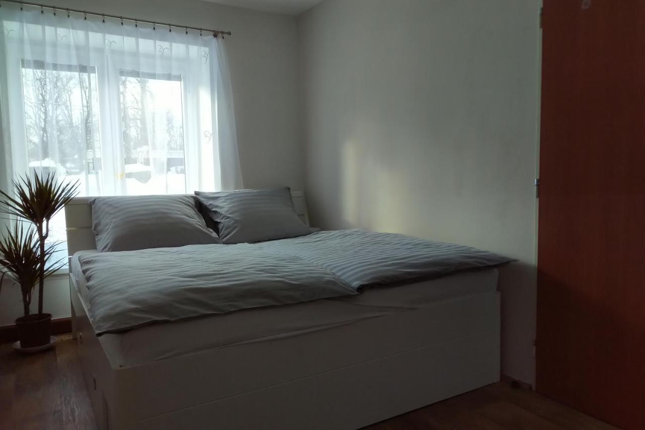 Apartman Pod Rickami Appartement Rokytnice v Orlických Horách Buitenkant foto