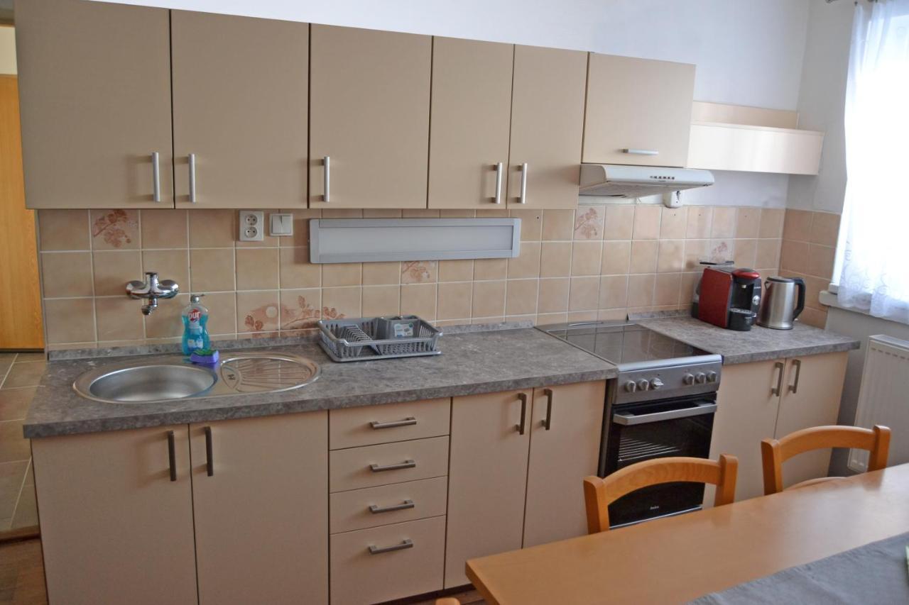 Apartman Pod Rickami Appartement Rokytnice v Orlických Horách Buitenkant foto