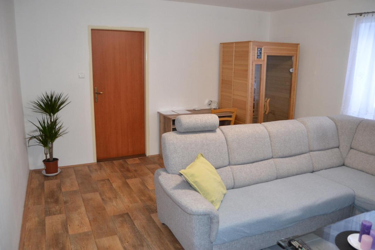 Apartman Pod Rickami Appartement Rokytnice v Orlických Horách Buitenkant foto